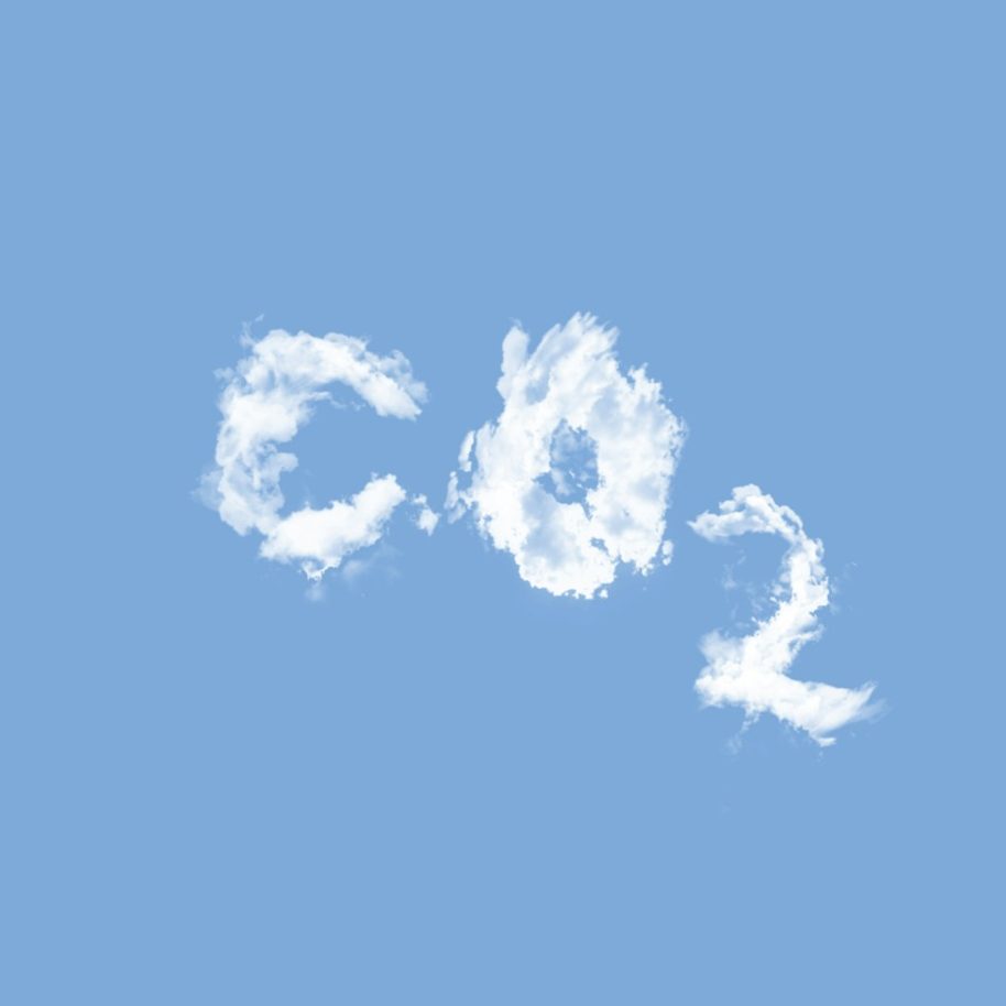 Proyectos REDD+ de protección forestal en Latinoamérica